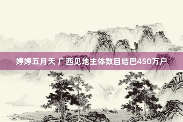 婷婷五月天 广西见地主体数目结巴450万户