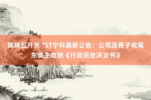妹妹五月天 *ST宁科最新公告：公司及骨子收尾东谈主收到《行政惩处决定书》