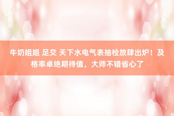 牛奶姐姐 足交 天下水电气表抽检放肆出炉！及格率卓绝期待值，大师不错省心了