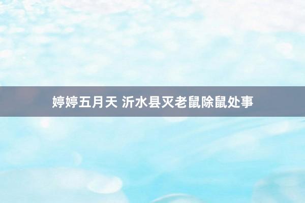 婷婷五月天 沂水县灭老鼠除鼠处事