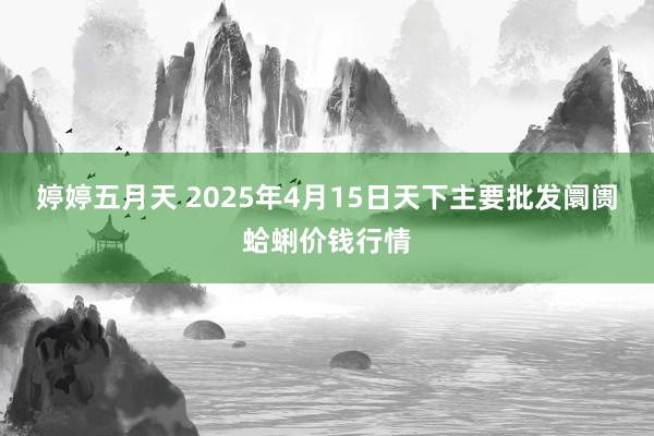 婷婷五月天 2025年4月15日天下主要批发阛阓蛤蜊价钱行情