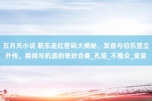 五月天小说 靳东走红密码大揭秘，发奋与伯乐竖立外传，期间与机遇的奇妙合奏_孔笙_不雅众_变装