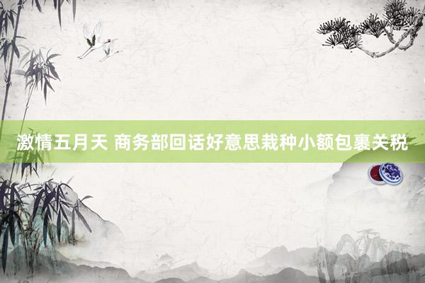激情五月天 商务部回话好意思栽种小额包裹关税