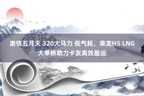 激情五月天 320大马力 低气耗，乘龙H5 LNG大单桥助力卡友高效盈运
