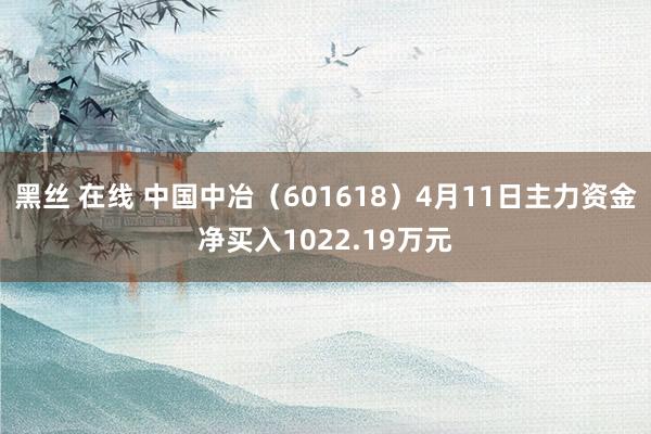 黑丝 在线 中国中冶（601618）4月11日主力资金净买入1022.19万元