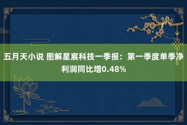 五月天小说 图解星宸科技一季报：第一季度单季净利润同比增0.48%