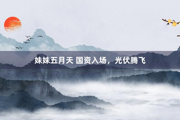 妹妹五月天 国资入场，光伏腾飞