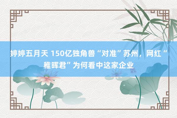婷婷五月天 150亿独角兽“对准”苏州，网红“稚晖君”为何看中这家企业