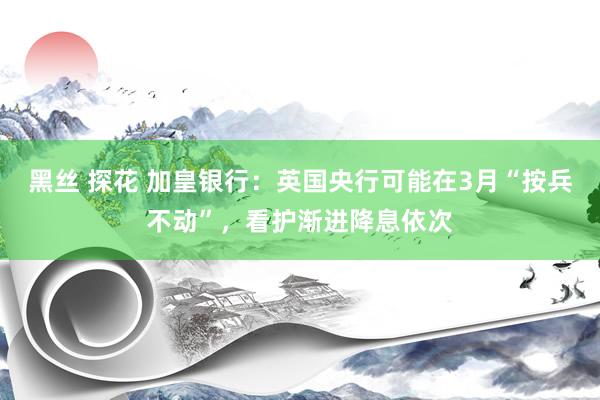 黑丝 探花 加皇银行：英国央行可能在3月“按兵不动”，看护渐进降息依次