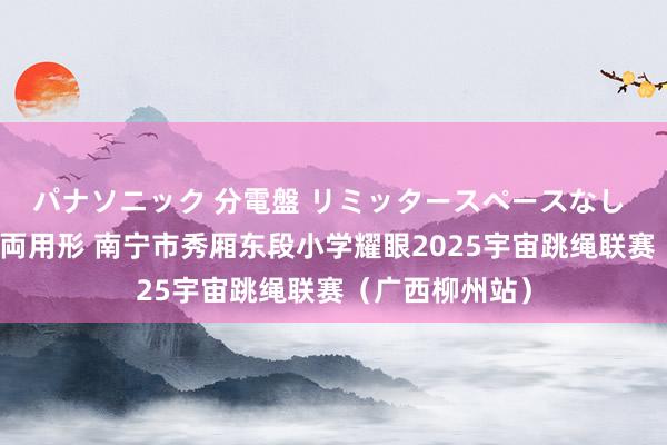 パナソニック 分電盤 リミッタースペースなし 露出・半埋込両用形 南宁市秀厢东段小学耀眼2025宇宙跳绳联赛（广西柳州站）