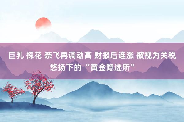 巨乳 探花 奈飞再调动高 财报后连涨 被视为关税悠扬下的 “黄金隐迹所”