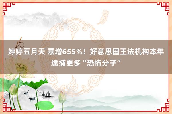 婷婷五月天 暴增655%！好意思国王法机构本年逮捕更多“恐怖分子”