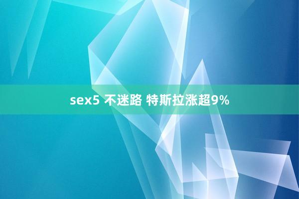 sex5 不迷路 特斯拉涨超9%
