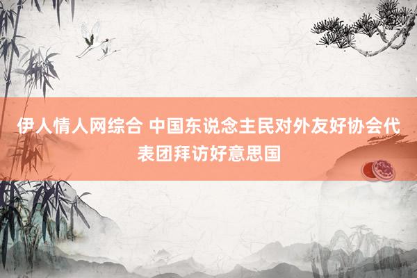 伊人情人网综合 中国东说念主民对外友好协会代表团拜访好意思国