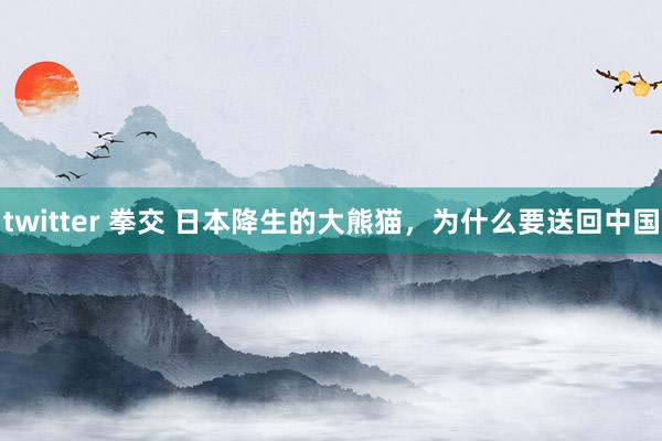 twitter 拳交 日本降生的大熊猫，为什么要送回中国