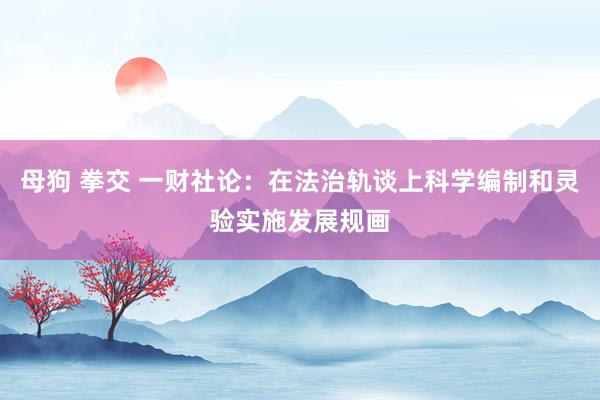 母狗 拳交 一财社论：在法治轨谈上科学编制和灵验实施发展规画