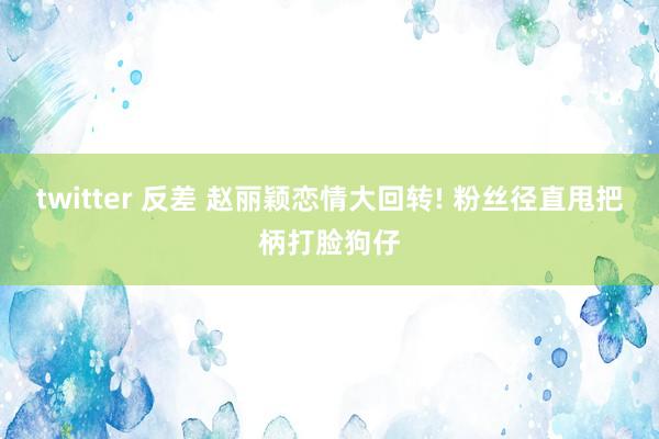 twitter 反差 赵丽颖恋情大回转! 粉丝径直甩把柄打脸狗仔