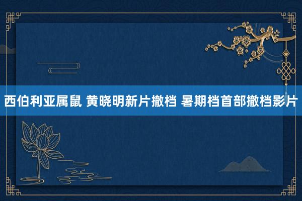 西伯利亚属鼠 黄晓明新片撤档 暑期档首部撤档影片