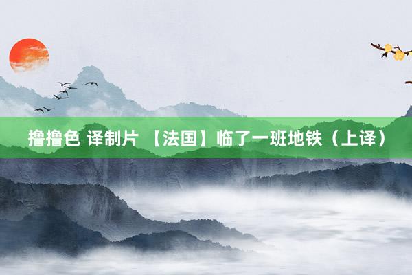 撸撸色 译制片 【法国】临了一班地铁（上译）