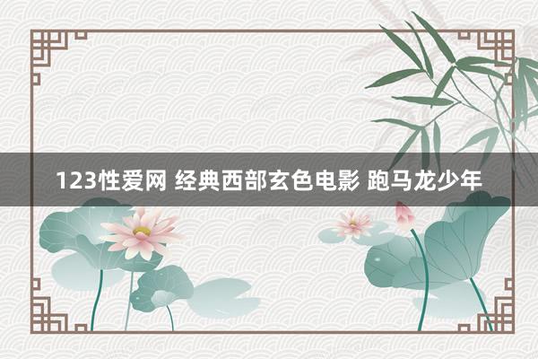 123性爱网 经典西部玄色电影 跑马龙少年